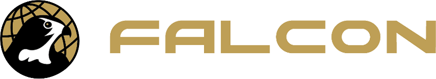 FALCON INTERNATIONAL Logo